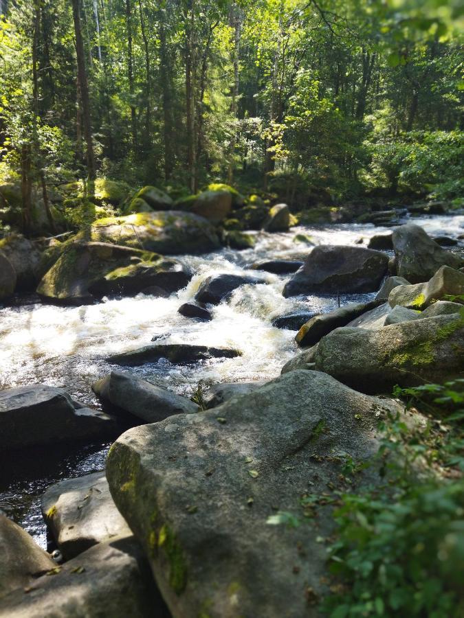 Apartmán U šedů Lipno nad Vltavou