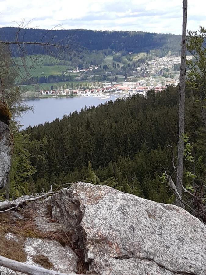 Apartmán U šedů *